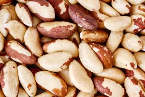 Imagem referente a notícia: Abertura de mercado para exportação de castanha-do-Brasil para a Costa Rica