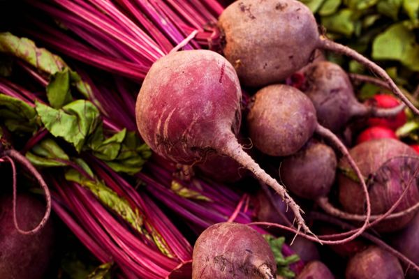 Abertura de mercado para sementes de beterraba do Brasil para a Nicarágua